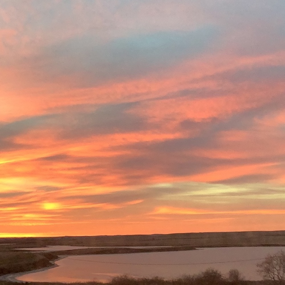 Meet your Posher, Joyce